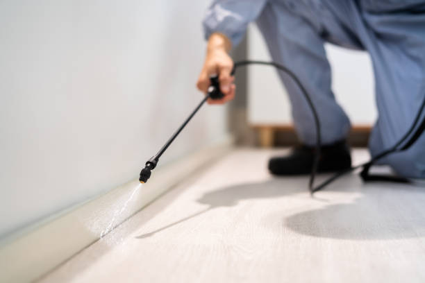 Licensed Pest Control service in Raoul, GA - Show Me Pest Control