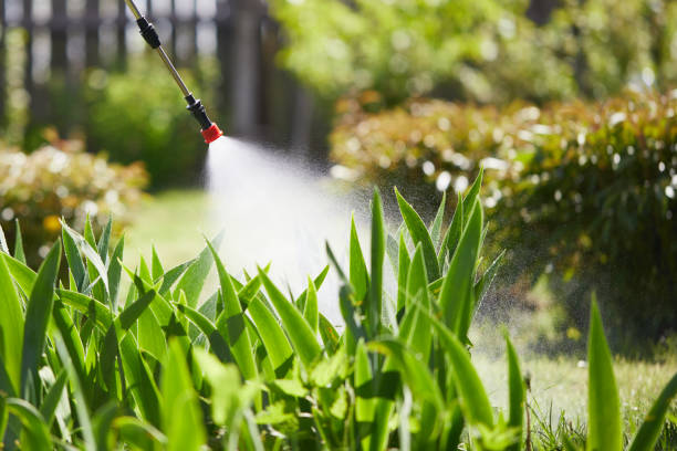 24/7 Emergency Wasp Removal experts in Raoul, GA